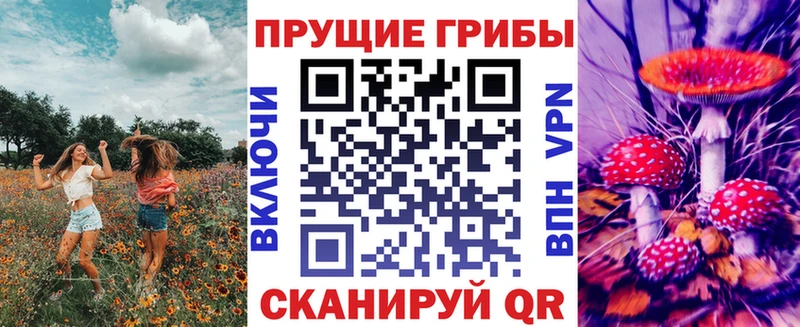 Псилоцибиновые грибы мухоморы  ОМГ ОМГ   Петрозаводск 